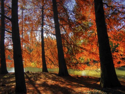 Autunno