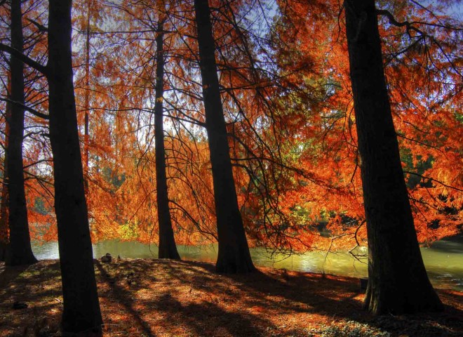 Autunno